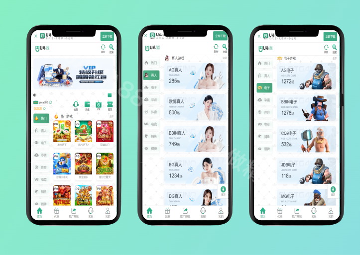 U站多语言源码,包网NG接口菠菜源码系统,前端vue+后端node.js开发非编译版本